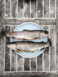 assiette avec 2 poissons cru à l'intérieur